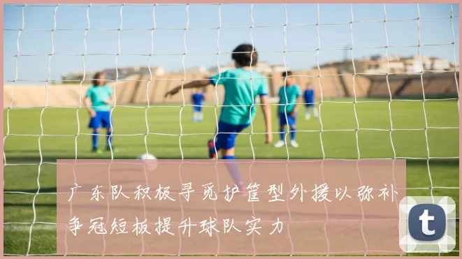 广东队积极寻觅护筐型外援以弥补争冠短板提升球队实力