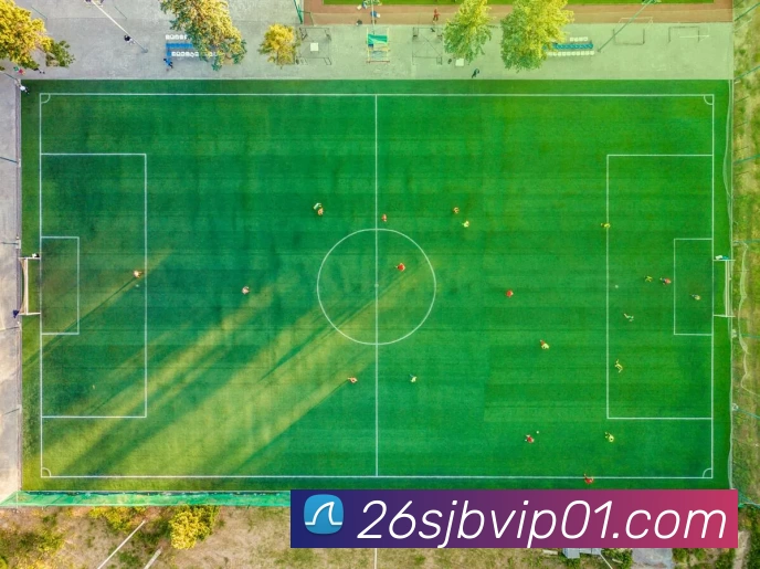 2026世界杯举办地平台生态图